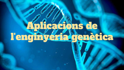 Aplicacions-de-les-tecniques-enginyeria-genetica.pdf