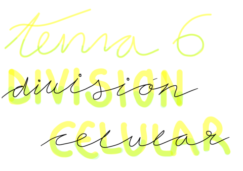 TEMA-6-Division-Celular.pdf