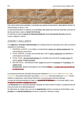 RESUMENES-TEMA-1-10-EPI.pdf