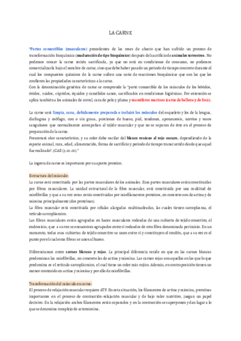 2-SEMESTRE-JOHANA.pdf