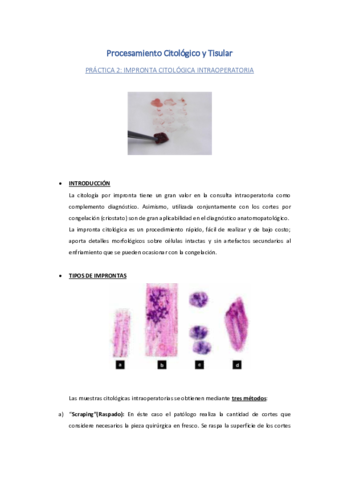 PrActica-2-Impronta-citolAgica-intraoperatoria.pdf