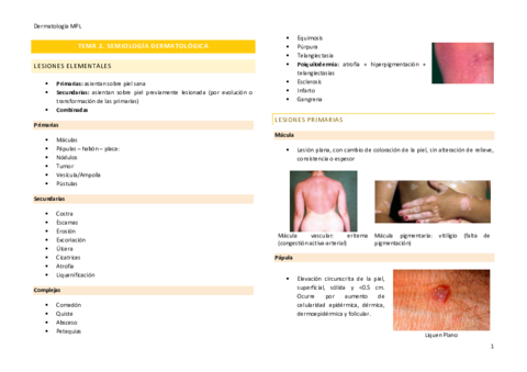 Tema-2.pdf