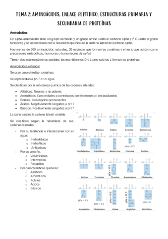 TEMA-2.pdf