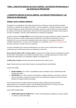 TEMA 1.Conceptos básicos de salud laboral- los riesgos profesionales y las tecnicas de prevención.pdf