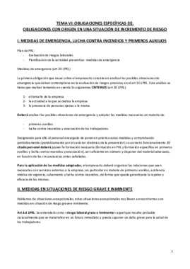 TEMA 6. Obligaciones especificas II.pdf