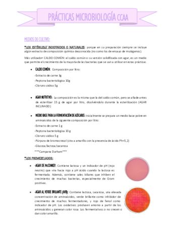 Practicas-micro.pdf
