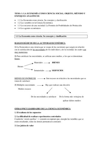 TEMA 1.pdf