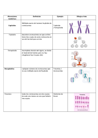 Esquema-alteraciones-numericas-tabla.pdf
