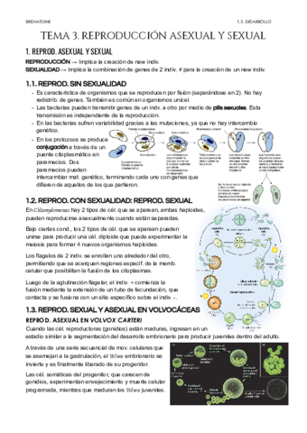 Tema-3-Reproduccion-asexual-y-sexual.pdf