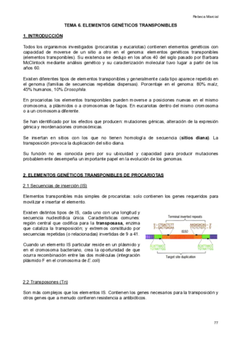 Apuntes-Genetica-T6-T10.pdf