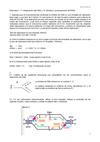 Seminarios-y-Cuestionarios-1-2-.pdf