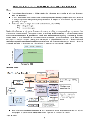 TEMA-2-URGENCIAS.pdf