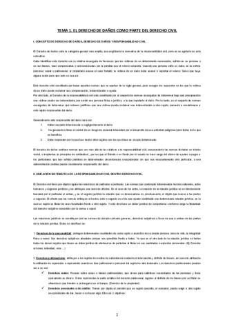 Derecho-de-Danos.pdf