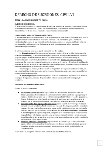 Derecho-civil-VI-1.pdf
