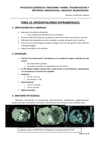 Qx-Tema-10.pdf