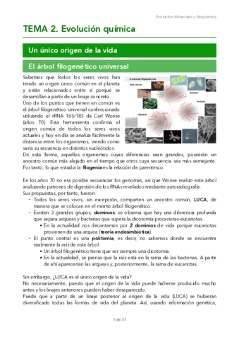 TEMA-2.pdf