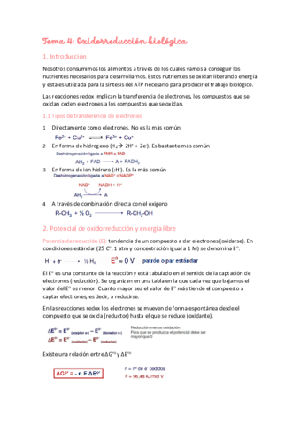 Tema-4-Oxidorreduccion-biologica-.pdf