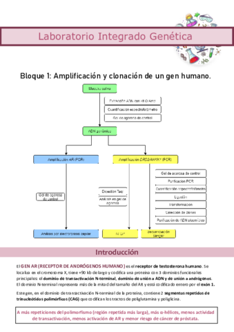 APUNTES-EXAMEN.pdf