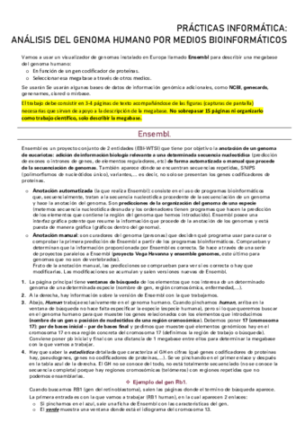 PRACTICA-INFORMATICA.pdf