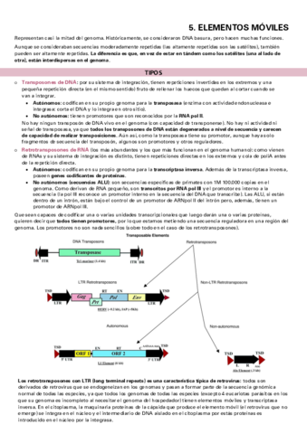 TEMA-5-I.pdf