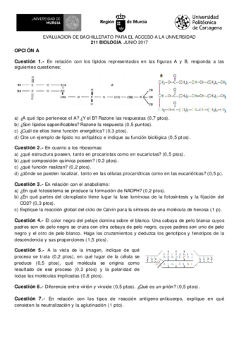 211-BIOLOGIA-2017jun-web.pdf
