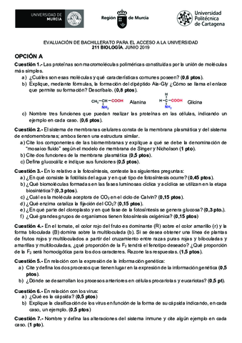 211-BIOLOGIA-EBAU2019-junioweb.pdf