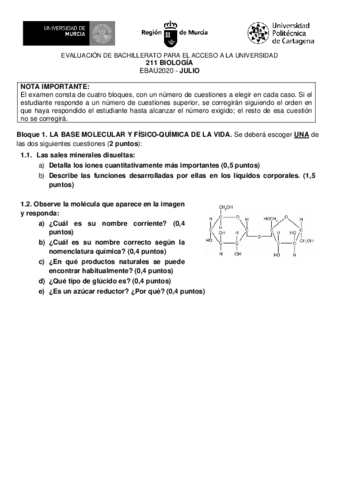 211-BIOLOGIA-julio-2020.pdf