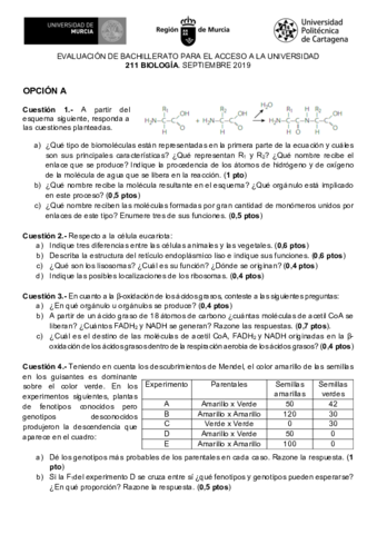 211-BIOLOGIA-EBAU2019-septiembreWeb.pdf