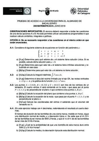 206-MATEMATICAS-II-EBAU2019-junioweb.pdf