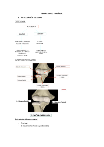 Tema 9. Codo.pdf