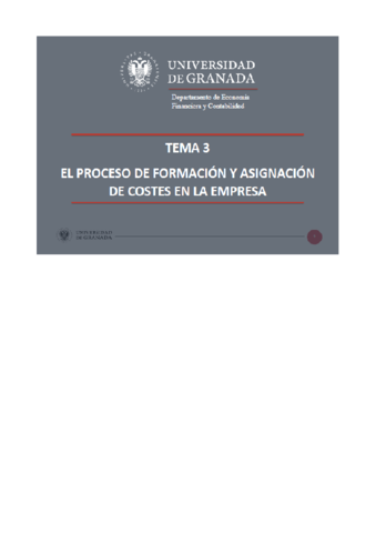 Tema-3-El-proceso-de-formacion-y-asignacion-de-costes-en-la-empresa.pdf