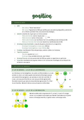 GENETICA.pdf