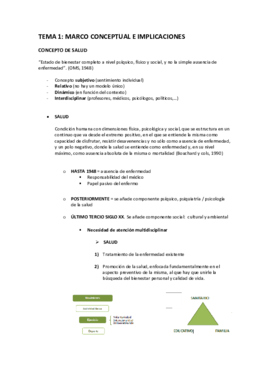 Tema 1.pdf