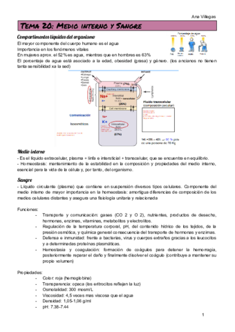 TEMA-20.pdf