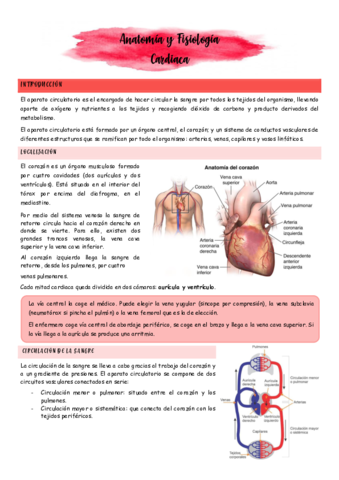 Anatomia-y-fisiologia-cardiaca.pdf