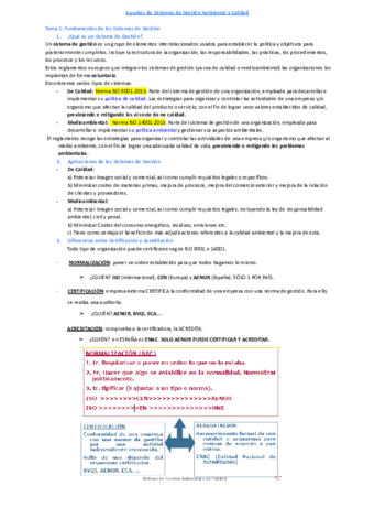 Apuntes-Sistemas-Terminados.pdf