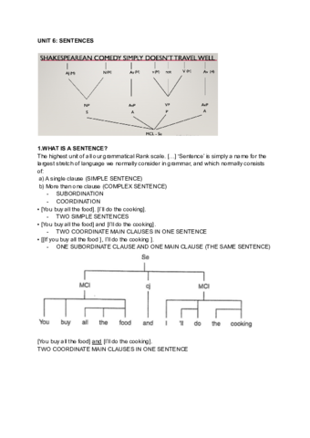 UNIT-6-SENTENCES.pdf
