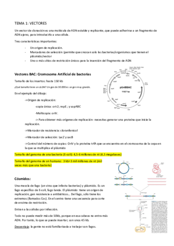 Tema1-vectores.pdf