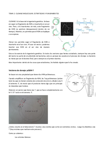 Tema2-Clonaje-molecular.pdf