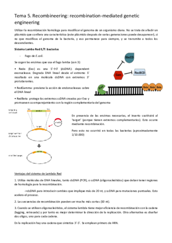 Tema5Recombineering.pdf