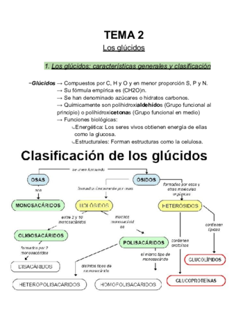 Glucidos.pdf