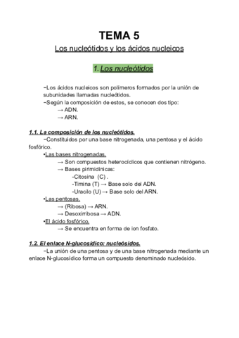 Acidos-Nucleicos.pdf