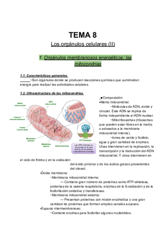 Organos-celulares-II.pdf