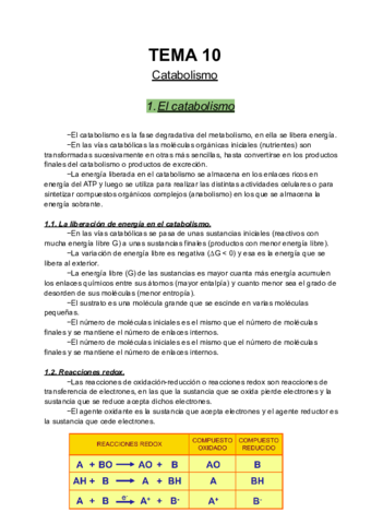 Catabolismo.pdf