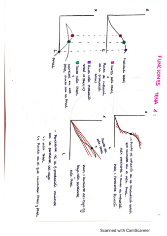 Graficas-Temas-1-6-Micro.pdf