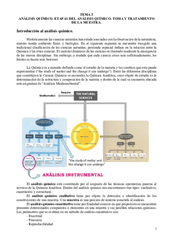 Tema-2-Analisis-quimico.pdf