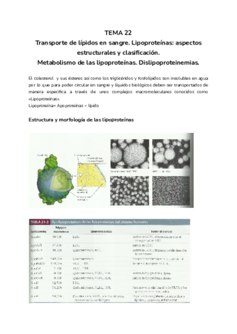TEMA-22.pdf