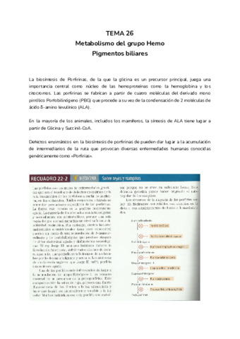 TEMA-26.pdf