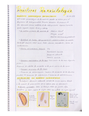 Libreta-Practicas-.pdf