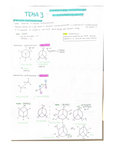 ESTRUCTURA-MOLECULAR.pdf